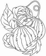 Watermelon coloring Page  Free Printable Coloring Pages sketch template