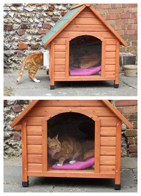 Pin by Terry Columbus on Animals | Outdoor cat house, Cat house diy, Feral cat shelter