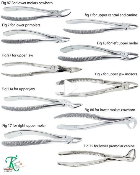 Surgical Tooth Forceps Dental Surgical Extraction Forceps for Upper Lower Molars #TKPlus ...