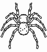 Tarantula Spider Free Printable coloring Page  Download Print Or sketch template