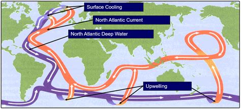 Volewica: Irreversible change to the Gulf Stream