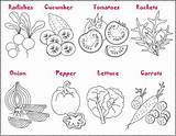 Nicoles Free Coloring Pages Vegetables Salad  And Crafting sketch template