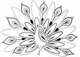 Free Printable Peacock Coloring Pages For Kids sketch template