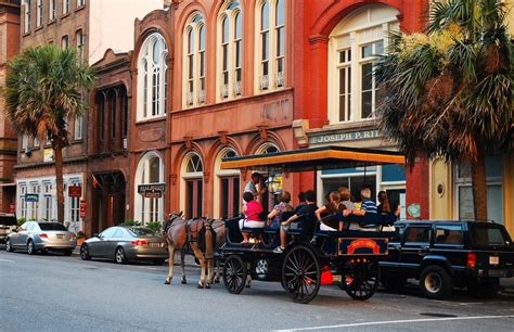 A Local's Guide to the Best Charleston, SC Carriage Rides & Tours