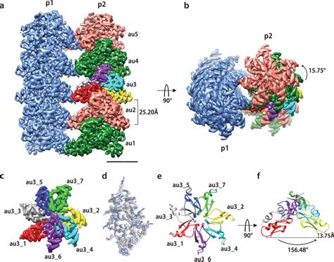 High-resolution cryo-EM structure of the protein fibril formed by ...