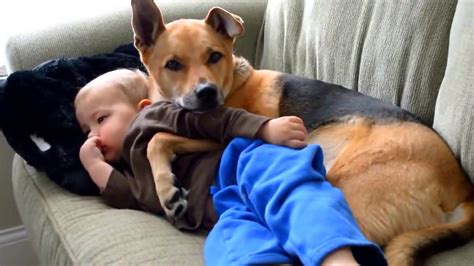 Dog hugging baby - YouTube