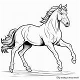 Cartoon Horse Coloring Pages  Free & Printable sketch template