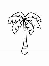 Palm Tree Coloring Pages  Best For Kids sketch template