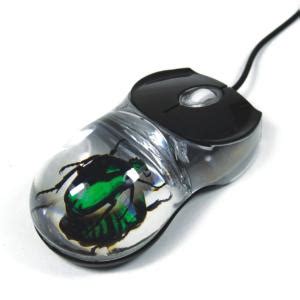 RealBug Computer Mice, Green Beetle | Ward's Science