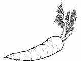 Printable Carrot Food Coloring Pages Fruit Sketch Page sketch template