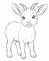 Printable Goat Coloring Pages sketch template