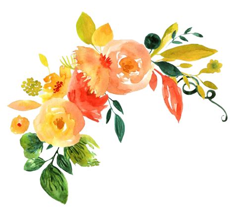 Watercolor Flower PNG Transparent Images | PNG All