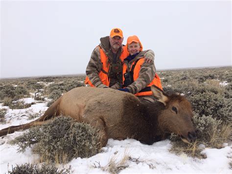 Cow Elk Hunts in Colorado | Free Range Guided Cow Elk Hunts