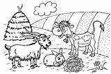 Goat And Cartoon Animals On Farm Coloring Page  Free Printable sketch template