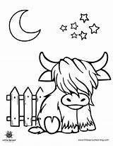 Highland Cow Coloring Page Printable sketch template