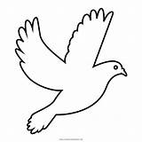 Printable Dove Coloring Page sketch template