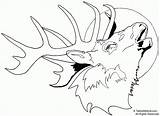 Free Printable Elk Coloring Pages sketch template