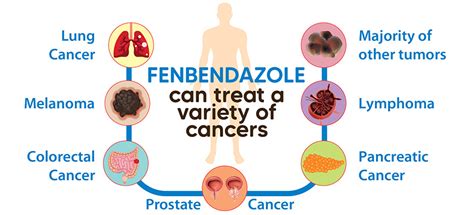 Fenbendazole for humans | Can a human take fenbendazole?