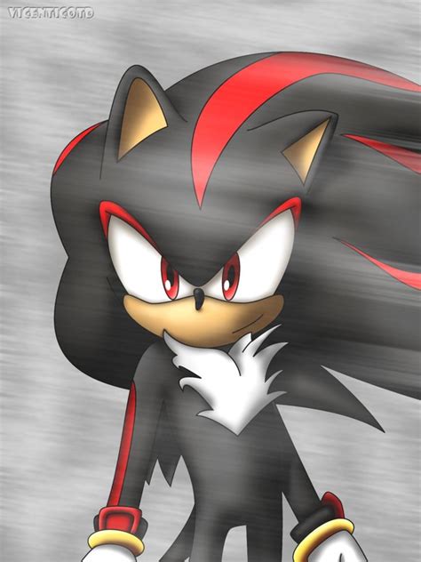 178 best Shadow The Hedgehog images on Pinterest | Shadow the hedgehog, Hedgehog and Hedgehogs