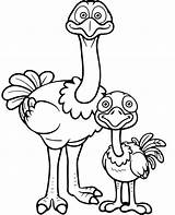 Ostrich Coloring Page Free sketch template