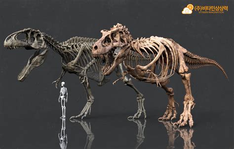 Vitamin Imagination - Giganotosaurus & Tyrannosaurus skeleton by. Vitamin Imagination