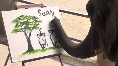 Suda Creations Genuine Elephant Painting By Elephant | Elephant painting, Elephant drawing, Elephant