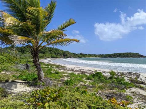 18 Vieques Beaches - The Essential Guide | The RTW Guys