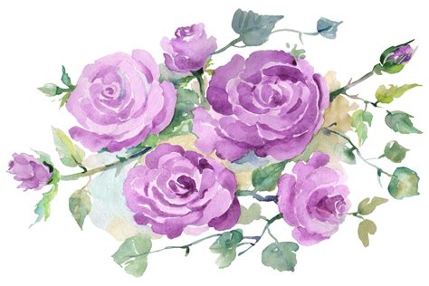 watercolor painting of purple roses with green leaves