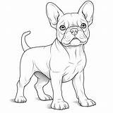 Premium Photo  Cute French Bulldog Coloring Pages Free Printable With sketch template