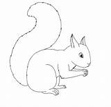 Free Printable Squirrel Coloring Pages For Kids  Animal Place sketch template