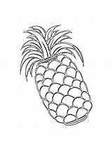 Pineapple Fruit Free coloring Page  Download Print Or Color Online sketch template