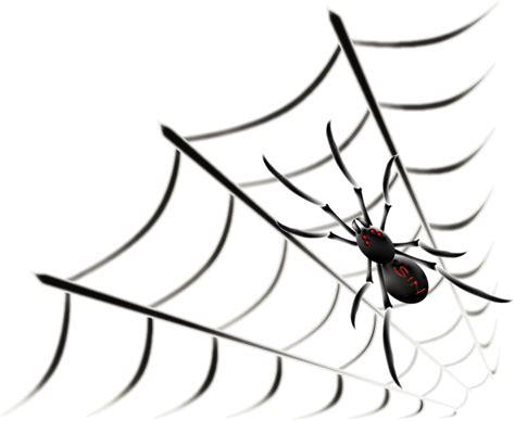Free Spider Web Graphic, Download Free Spider Web Graphic png images, Free ClipArts on Clipart ...