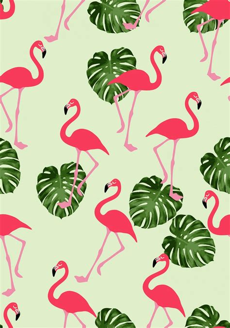 Flamingo Android Wallpapers - Wallpaper Cave