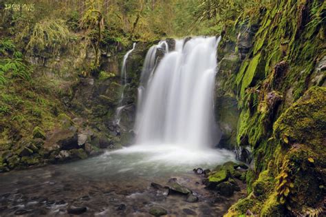 10 Best and Fun Things To Do In Sweet Home, Oregon - Touristwire