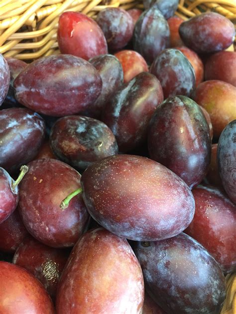 Plums sugar plums — Out of Stock/Seasonal – Greengrocers Pantry