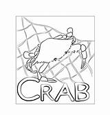 Crab Free Printable coloring Page  Download Print Or Color Online For sketch template