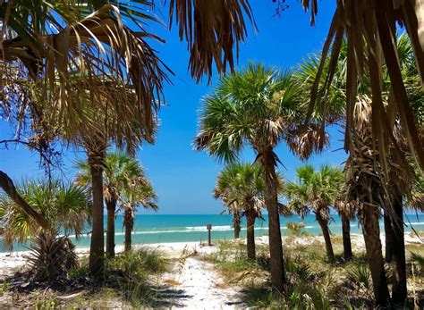 14 Prettiest Beaches in Tampa Florida - Florida Trippers