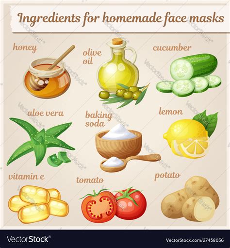 Facial mask ingredients for home face skin care Vector Image