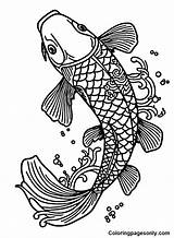 Koi Fish Coloring Pages  Coloring Pages For Kids And Adults sketch template