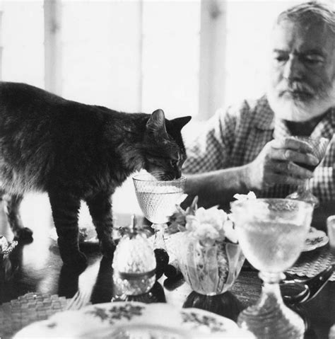 26 Interesting Vintage Photos of Ernest Hemingway With His Beloved Cats ...