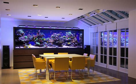 21 Stunning Home Aquarium Ideas
