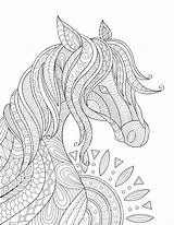 Printable Intricate Horse Adult Coloring Page sketch template