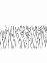 Yard Grass Coloring Pages sketch template