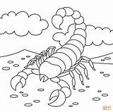 Scorpion coloring Page  Free Printable Coloring Pages sketch template