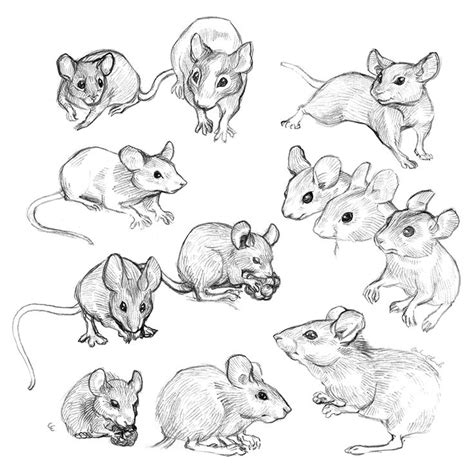 Pin by Stone and Karol Akin on Mice nice | Mouse illustration, Mouse ...