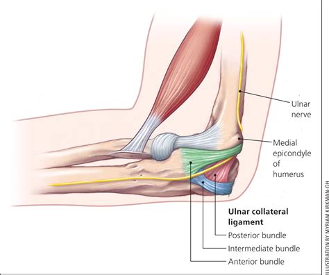 Singapore Triceps Tendon Specialist | Singapore Sports and Orthopaedic Clinic - Neurosurgeon