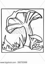 Coloring Book Fungus Vector & Photo Free Trial  Bigstock sketch template