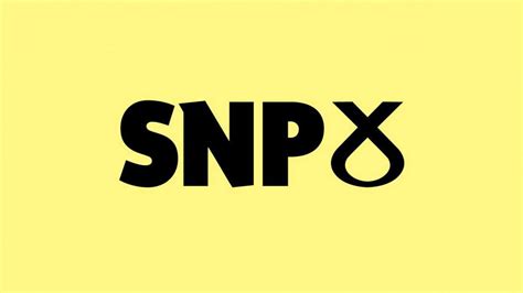 The Scottish National Party (SNP) - thebritishtribune