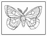Caterpillar And Butterfly Coloring Pages At GetColoringscom  Free sketch template