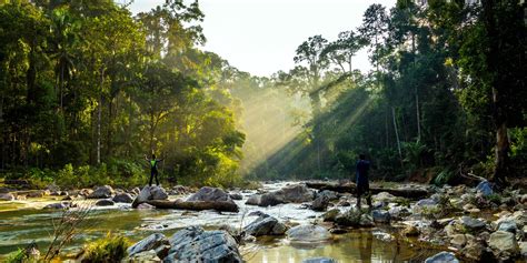 Taman Negara National Park Day Tour | Pahang - KKday